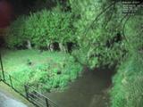 00 : 20