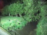 00 : 20