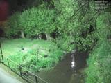 00 : 44