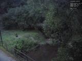 04 : 20