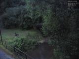 21 : 36