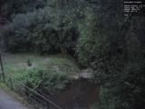 21 : 48