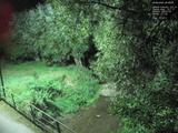 00 : 20