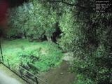 01 : 24