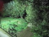 01 : 48