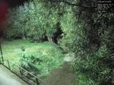 01 : 52