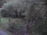 19 : 36