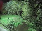19 : 52
