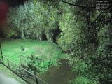 20 : 40