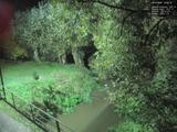 19 : 40