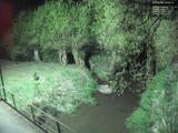 00 : 20