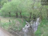 16 : 28