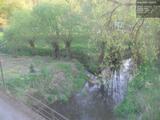 19 : 32