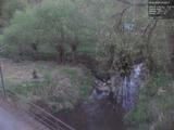 20 : 40