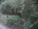 20 : 40