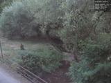 20 : 40