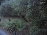 20 : 32