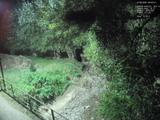 Záznam
