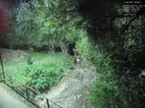 Záznam