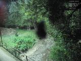 Záznam
