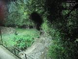 Záznam