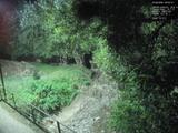 Záznam