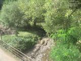 Záznam