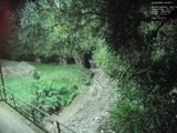 04 : 48