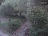 19 : 36