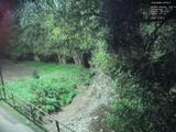 20 : 00