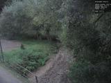 19 : 20