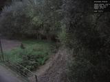 19 : 24