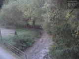 Záznam