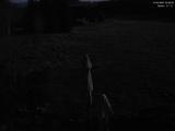 02 : 36