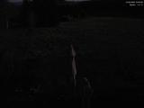 03 : 00