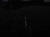03 : 04