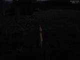 03 : 16