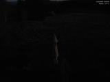 03 : 32