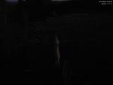 03 : 36