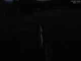 03 : 40