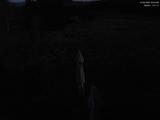 03 : 44