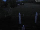22 : 36