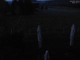 03 : 20