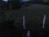 03 : 36