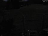 03 : 52