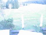 20 : 24