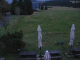 20 : 04