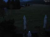 20 : 16