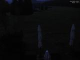 20 : 20