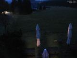 20 : 36